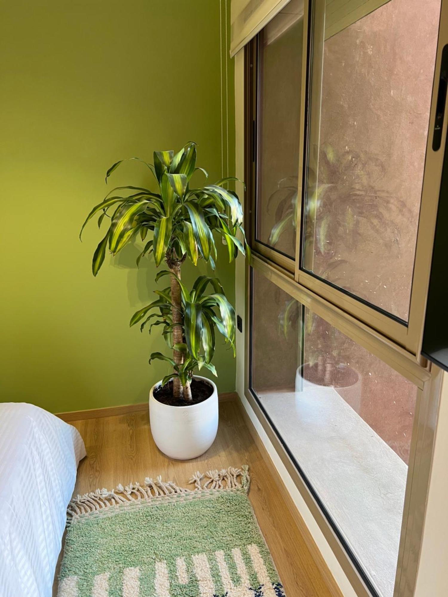 Luxe Appartement A Louer Pour Les Familles Marraquexe Exterior foto